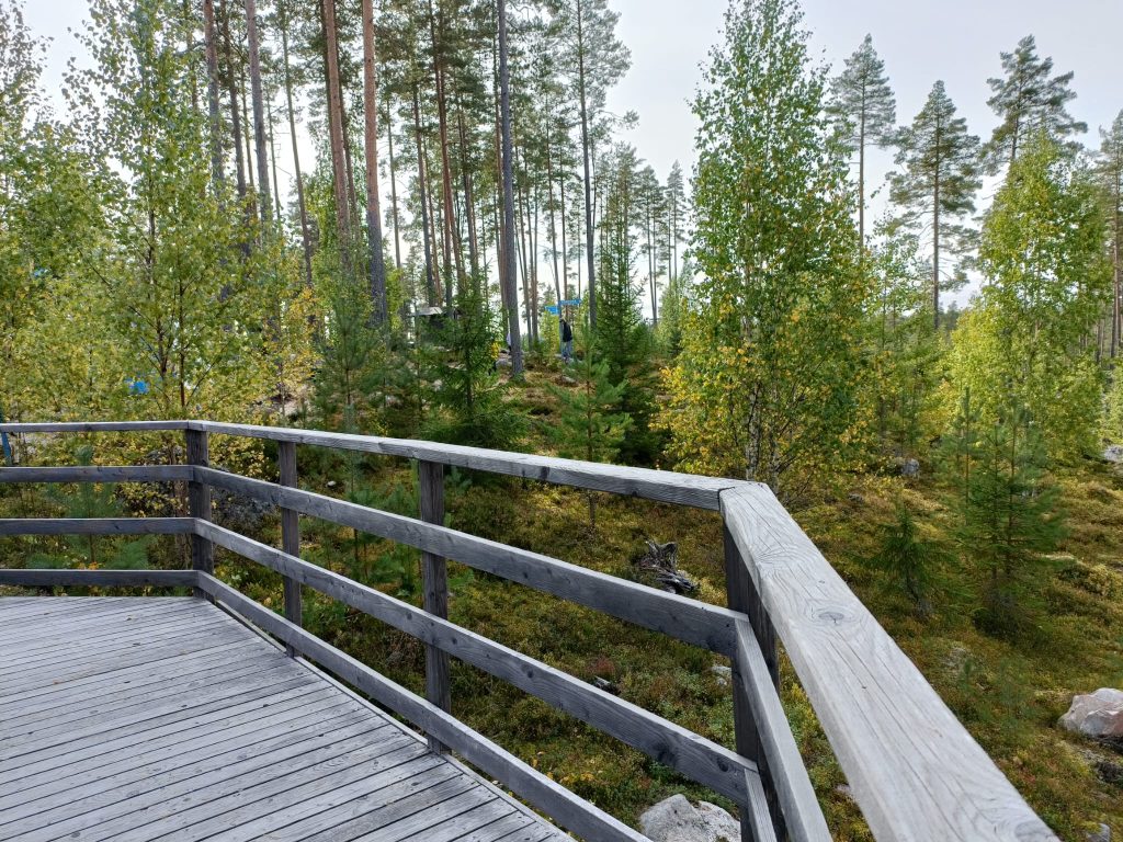 Kuvassa puinen kaide ja taustalla vihreä metsämaisema