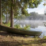 soutuvene järven rannalla puiden alla