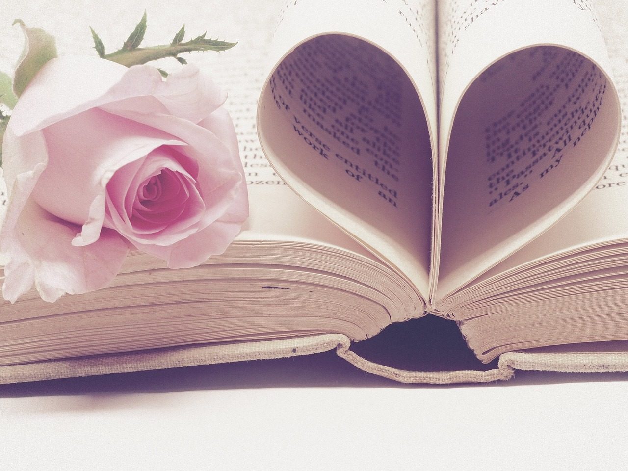 Kirja minkä sivuista on tehty sydämen muotoinen ja vieressä vaaleanpunainen ruusu. Avainsanoja: lukeminen, ystävä, rakkaus, ystävänpäivä