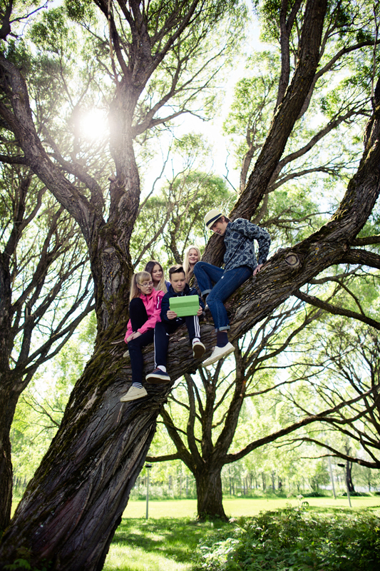 Viisi nuorta istuu suuren ja vanhan puun oksilla selaten tablettia. Aurinko paistaa puun oksien ja vihreiden lehtien välistä. Avainsanoja: ilo, kesä, kesäloma, vapaa-aika, kaveruus, luonto, ympäristö, retki, some, mediataidot